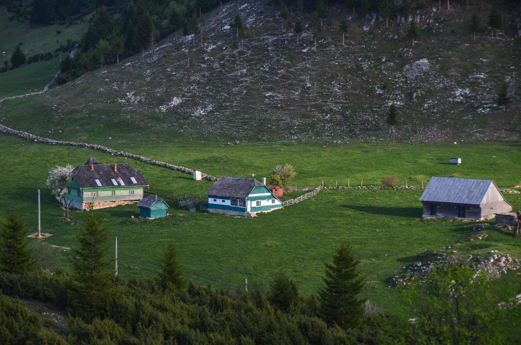 Cheile Gradistei Fundata Resort Exterior foto